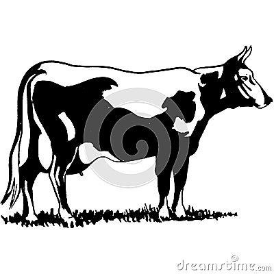 Vintage Clipart 261 bull standing in field Stock Photo