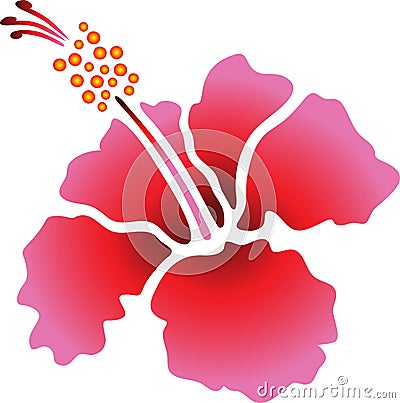 Hibiscus Vector Illustration