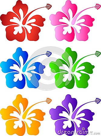 Hibiscus collection Vector Illustration