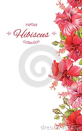 Hibiscus flower banner Vector Illustration