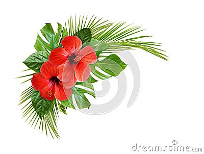 Hibiscus flower and palm leaves in corner tropical arrangement Stock Photo