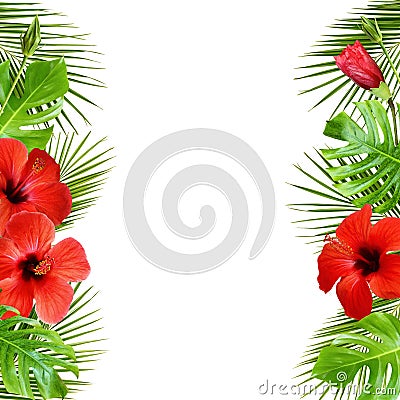 Hibiscus flowers and palm leaves in tropical border arrangements Stock Photo