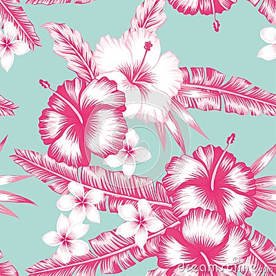 Hibiscus and leaves Vector Illustration