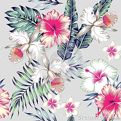 Hibiscus and orchids tropical seamless background Vector Illustration