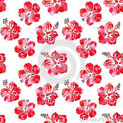 Hibiscus red flowers watercolor seamless pattern Stock Photo