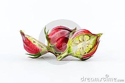 Hibiscus sabdariffa or roselle fruits. Stock Photo
