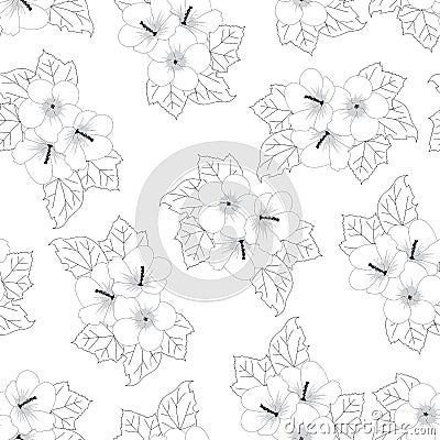 Hibiscus syriacus Flower Outline - Rose of Sharon Seamless Background. Vector Illustration Vector Illustration