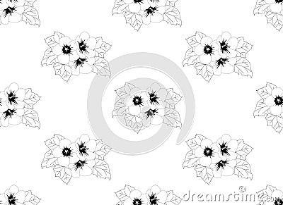 Hibiscus syriacus - Rose of Sharon Seamless on White Background. Vector Illustration. Vector Illustration