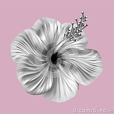 Hibiscus tropical monochrome collage. Realistic flower on pink background Vector Illustration