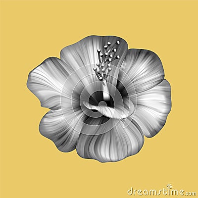 Hibiscus tropical monochrome collage. Realistic flower on yellow background. Vector Illustration