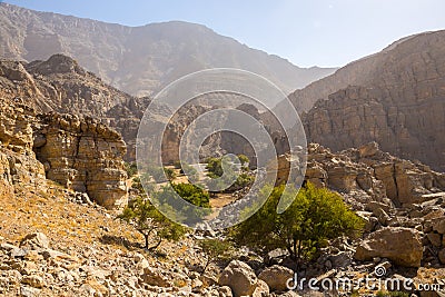 Hidden Oasis in Jabel Jais mountain range, landscape view with green lush palm trees and acacia trees, rocky mountains Stock Photo