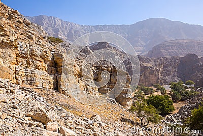 Hidden Oasis in Jabel Jais mountain range, landscape view with green lush palm trees and acacia trees, UAE Stock Photo