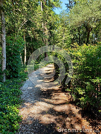 Hidden Path into the Trees. Williamsburg, VA Stock Photo