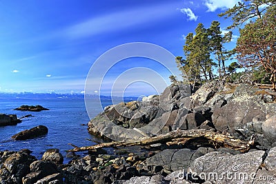Petroglyph Point in East Sooke Regional Park, Vancouver Island, British Columbia Stock Photo