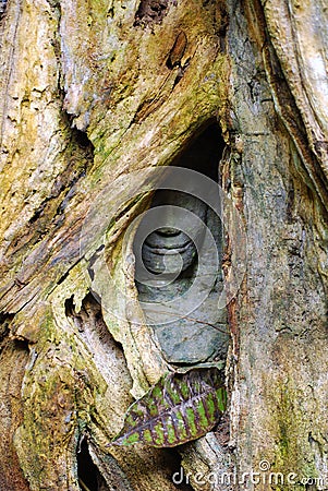 The hidden stone face, angkor Stock Photo