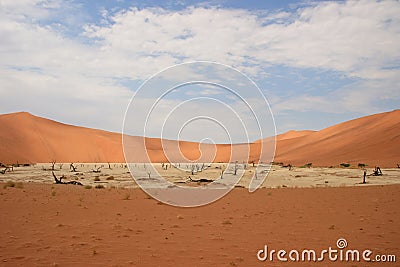 Hidden Vlei dead tree landscape in desert Namib-Naukluft National Park, Namibia Stock Photo