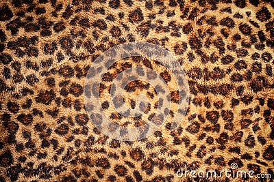 Hide of leopard pattern for background Stock Photo