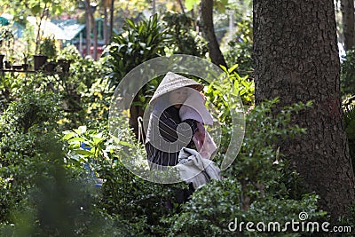 Hiding from the tropical heat Editorial Stock Photo