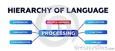 Hierarchy of language diagram. Infographic on similarities and functions with data Vector Illustration