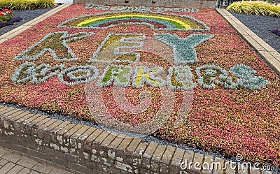 High angle of colorful flowers planted as an appreciation for United kingdom keyworkers during covid Stock Photo