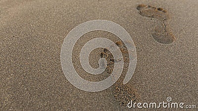 high angle footprint sand beach. High quality beautiful photo concept Stock Photo