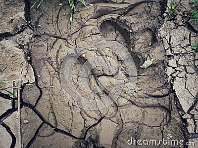 High angle shot of a pair of shoeprints deep in the mud Stock Photo