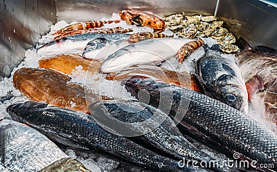 High Angle Still Life of Variety of Raw Fresh Fish Chilling on Bed of Cold Ice in Seafood Market Stall Stock Photo