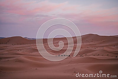 High-angle view of a caravan of camels in the sand dunes under the cloudy sunset sky Stock Photo