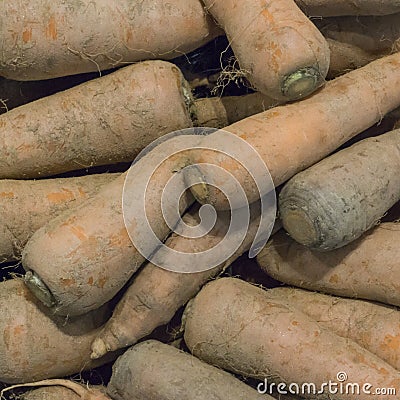 High angle view of dusty carrots Stock Photo