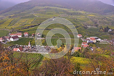 High angle view of farm Editorial Stock Photo