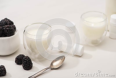 High angle view of glasses of yogurt, teaspoon, containers with starter cultures and sugar bowl with blackberries Stock Photo