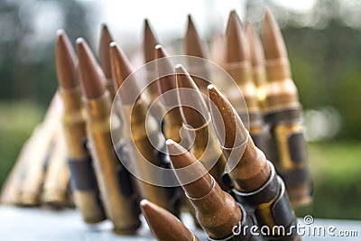 High Caliber Bullets Belt Stock Photo