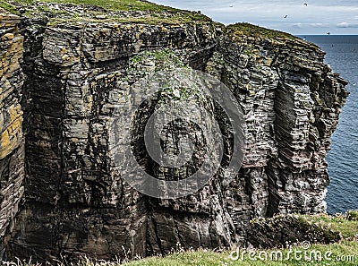High cliffs on Isle of Noss, Shetland Stock Photo