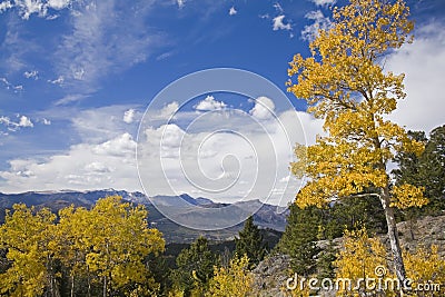 High country Cottonwood Aspen trees mountains Stock Photo