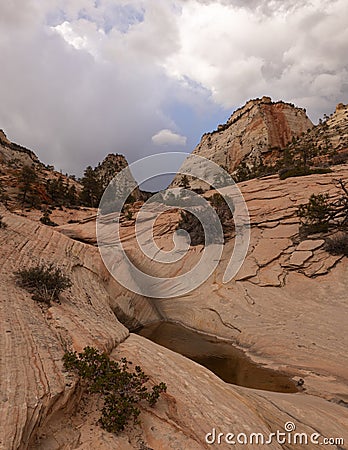 Desert bushes and ephemeral pools in Zion, Utah, USA Stock Photo