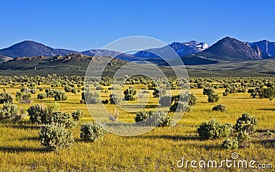 High desert evening Stock Photo