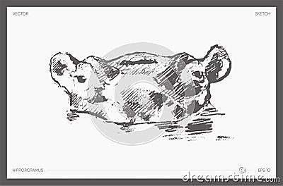 High detail hand drawn vector hippopotamus sketch Vector Illustration
