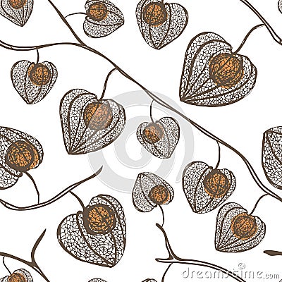 High detail physalis vector seamless pattern. Plant with orange berries. Vector Illustration