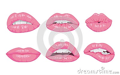 High detailed glossy lips and mouth vector illustration. Open, close up. Vector Illustration