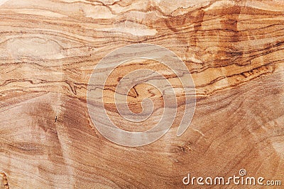 High detailed texture of olive wood background. Stock Photo