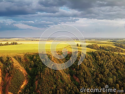 High hills with fields of grass and groves of birches. Stock Photo