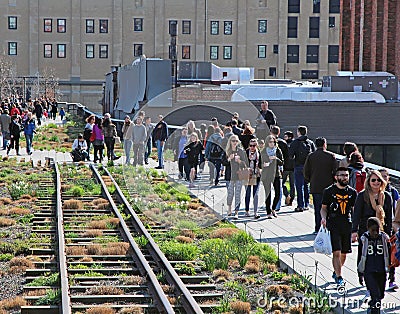 High Line park Editorial Stock Photo