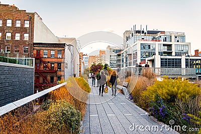 High Line Park in New York City, USA Editorial Stock Photo