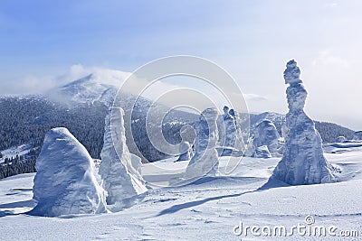 High on the mountains, on the lawn stand trees covered with snow, which look as ice sculptures. Textured forms. Landscape. Stock Photo