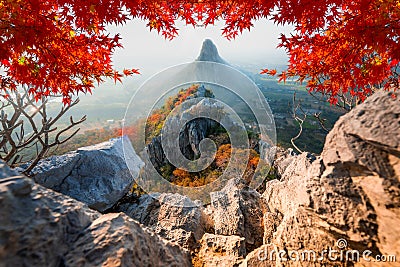 High mountains in the plains and fields in the morning, the misty and beautiful maple leaf in Khao No Nakhon Sawan Thailand Stock Photo