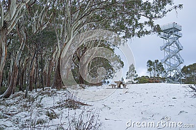 High observation tower on snowy Mount Donna Buang scenic lookout Stock Photo