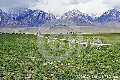 High Prairie Irrigartion Stock Photo