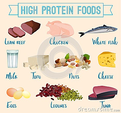 High protein foods set Vector Illustration