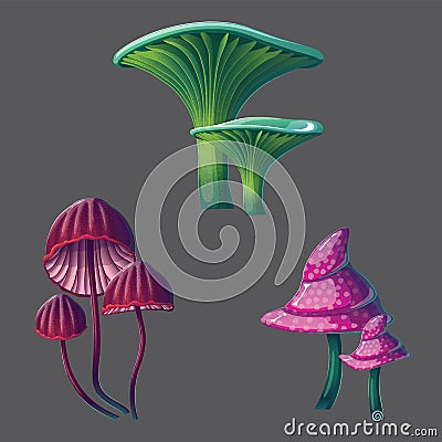 A high quality fantasy mushrooms set. Vector Illustration