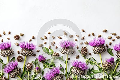 neat display of milk thistle seeds and leaves on white background, promoting natural medicine concept in a banner Cartoon Illustration